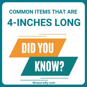 4 Inches - Common things that are 4-inches Long