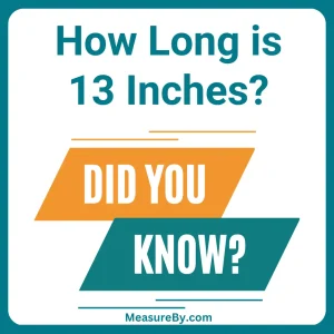 How Long is 13 Inches