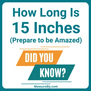 How Long Is 15 Inches