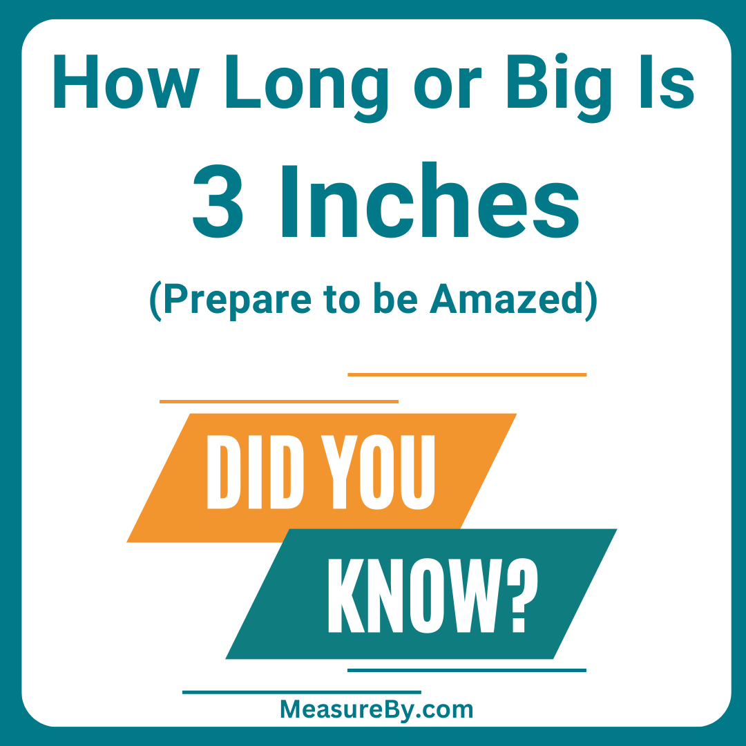 how-long-or-big-is-3-inches-with-example